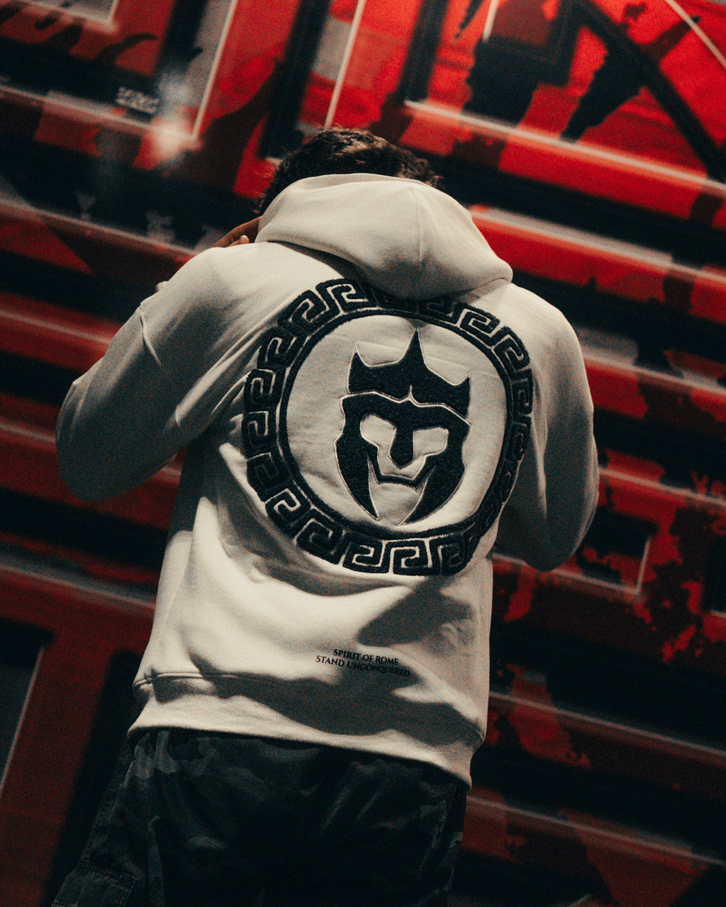Person wearing a hoodie with a logo on the back against a red and black background